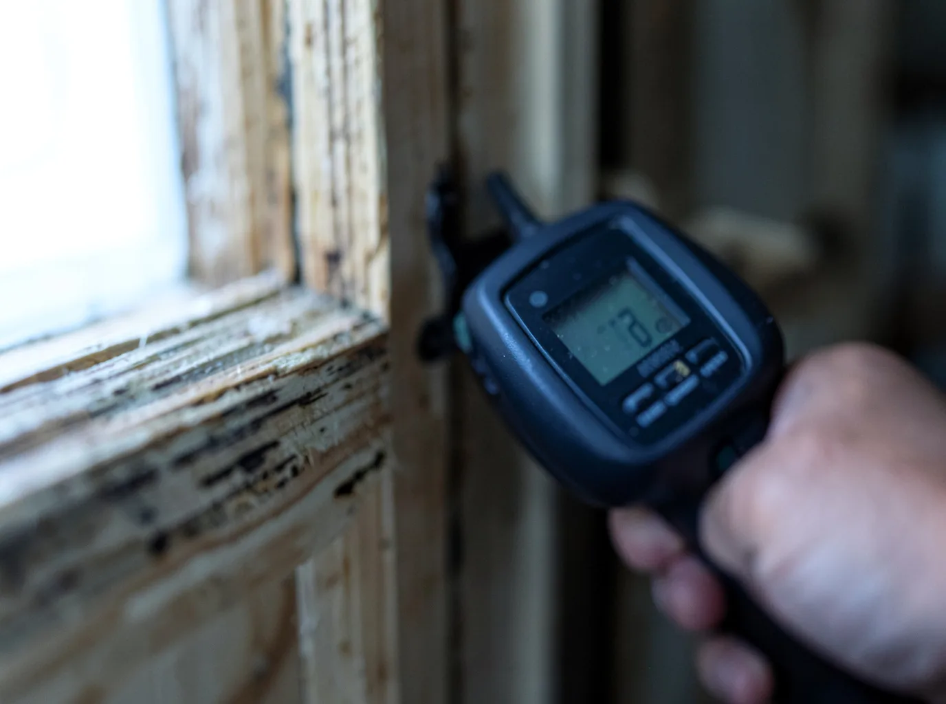 Moisture Inspection And Documentation in Mountain City, GA